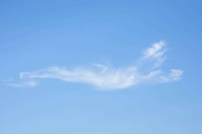 Central Response Architect